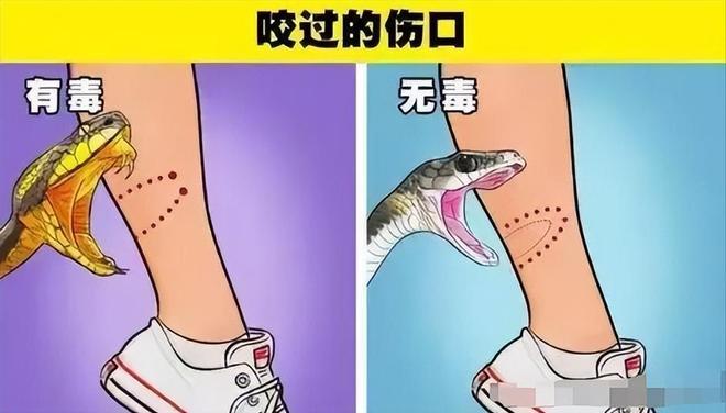 ！医院迷惑操作家属接连发声已成立调查组mg不朽情缘游戏网站游客蛇伤致死后续(图2)