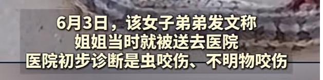 ！医院迷惑操作家属接连发声已成立调查组mg不朽情缘游戏网站游客蛇伤致死后续(图14)
