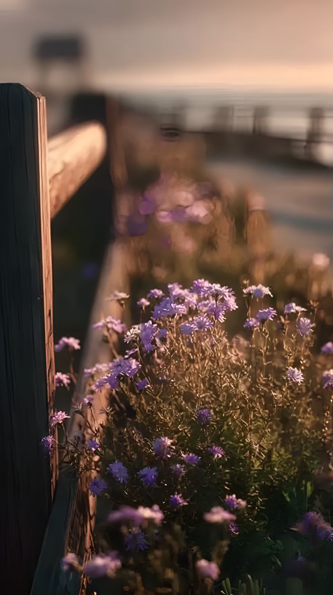 ：见自己见众生见天地不朽情缘正版人生三见