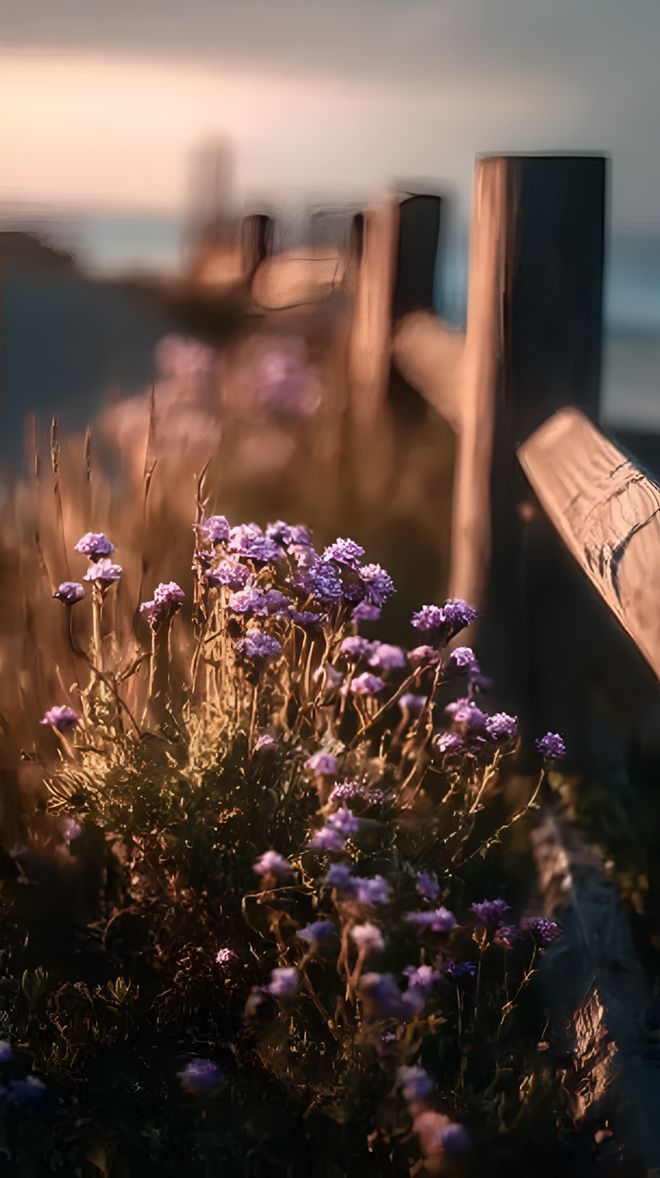 :见自己见众生见天地不朽情缘正版人生三见(图3) :见自己见众生见天地不朽情缘正版人生三见(图3)