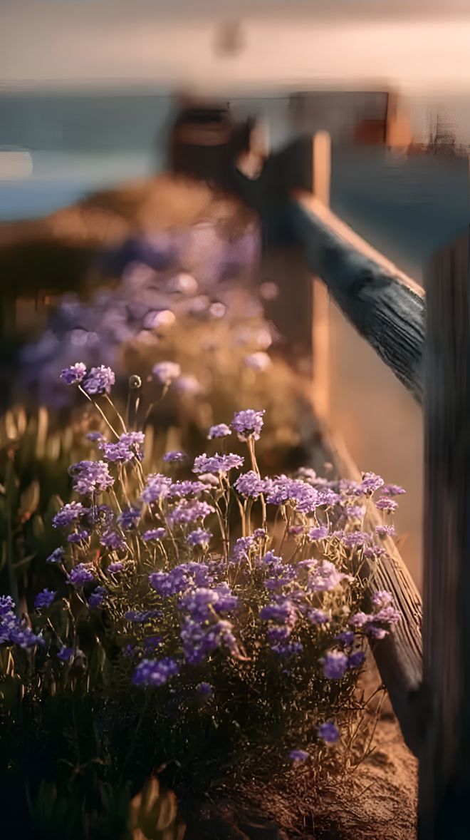 :见自己见众生见天地不朽情缘正版人生三见(图4) :见自己见众生见天地不朽情缘正版人生三见(图4)